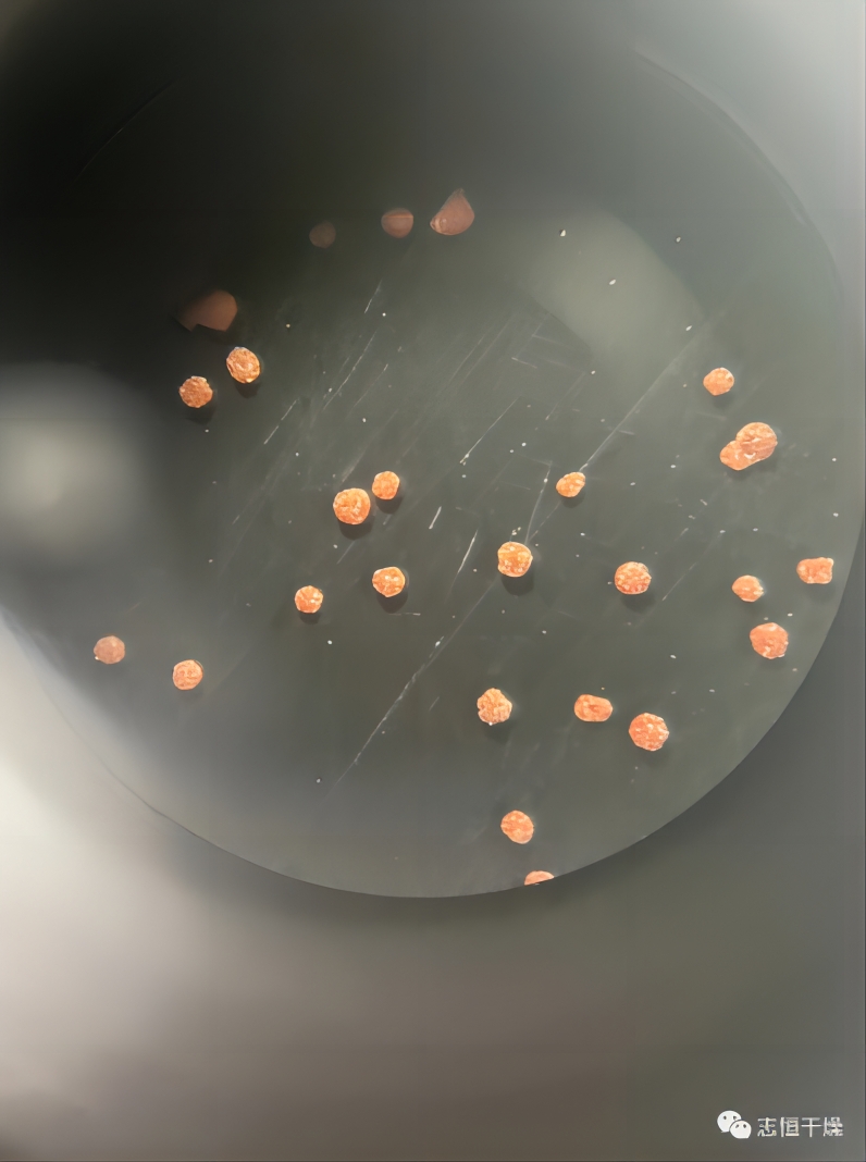 Product Application丨Application of microcapsules in spray drying!