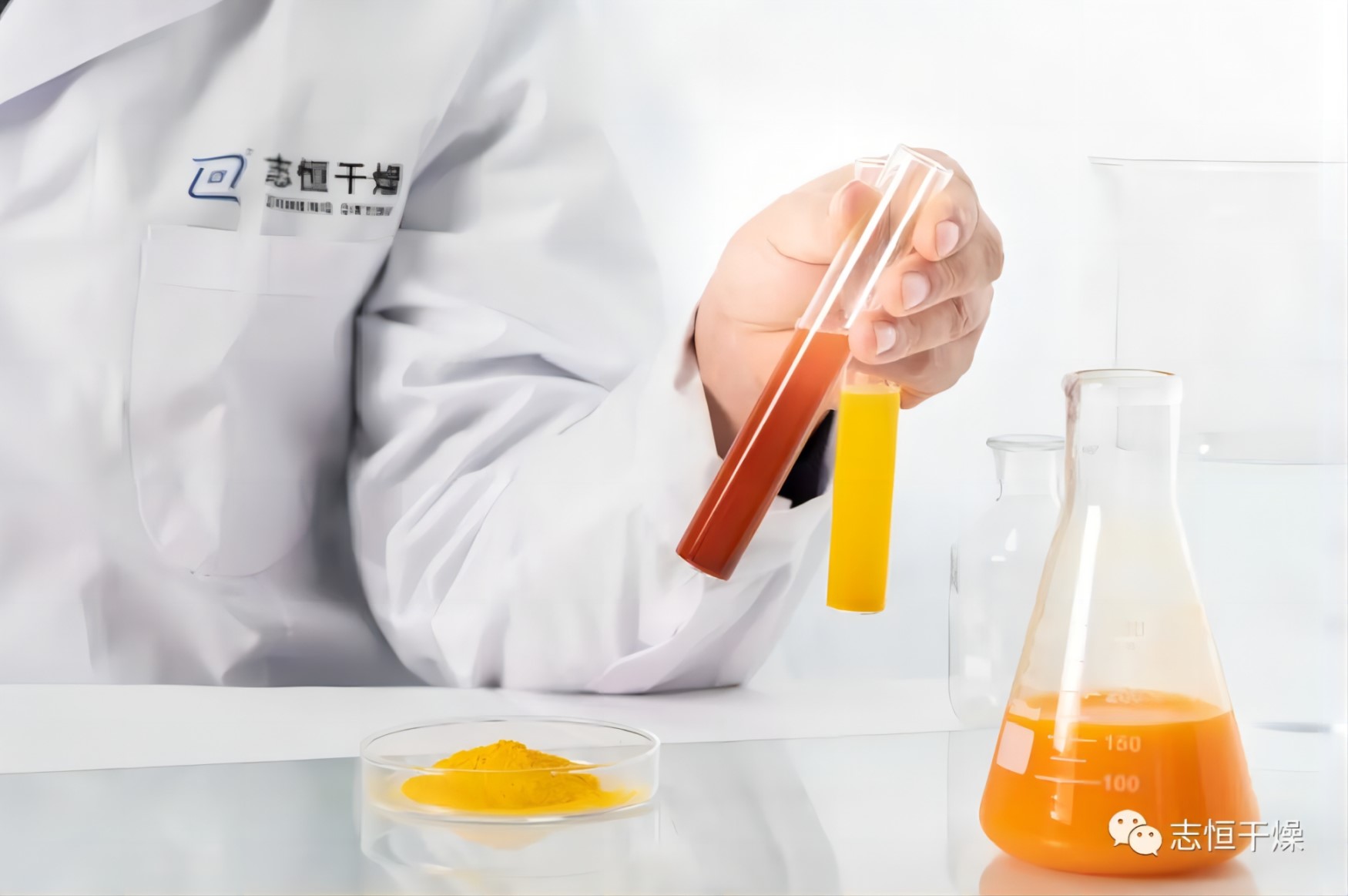Product Application丨Lutein!
